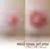 Giới thiệu dịch vụ